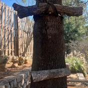 Photo submitted by Leah