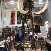 Photo submitted by Carlos