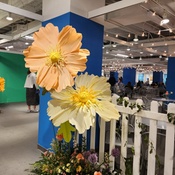 Photo submitted by Levester