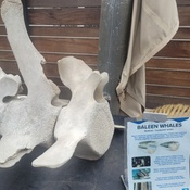 Photo submitted by Ashley