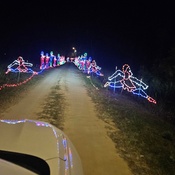 Photo submitted by Ashley