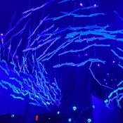 Photo submitted by Theresa