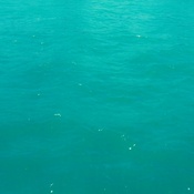 Photo submitted by Guest