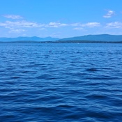 Photo submitted by Guest