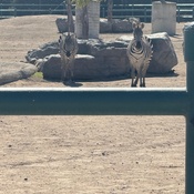 Photo submitted by Janet