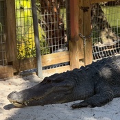 Photo submitted by Şeyda