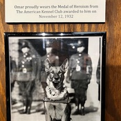 Photo submitted by Vilmaris