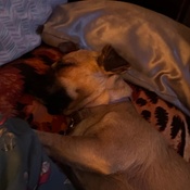 Photo submitted by Annielean