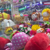 Photo submitted by Sandra