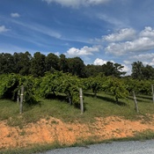 Photo submitted by Camile