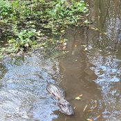 Photo submitted by Lance