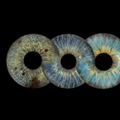 Photo submitted by Almee