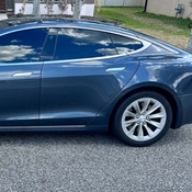 Photo submitted by Dexter