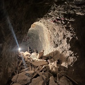 Photo submitted by Dustin