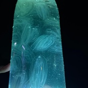 Photo submitted by Bridget