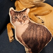 Photo submitted by lauren