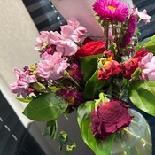 Photo submitted by Mayra