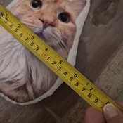 Photo submitted by Heidi