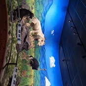 Photo submitted by CiCi