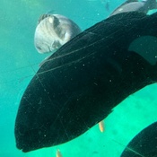 Photo submitted by Celia