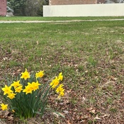 Photo submitted by Nancy