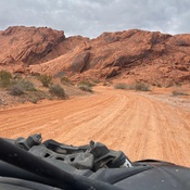 Photo submitted by Chelsey