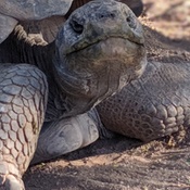 Photo submitted by David