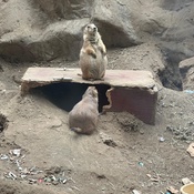 Photo submitted by Grace