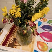 Photo submitted by natasha