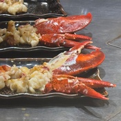 Photo submitted by Liezel