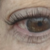 Photo submitted by Guest