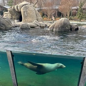 Photo submitted by Desiree