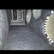 Photo submitted by Travis