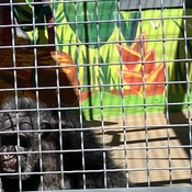 Photo submitted by Amanda