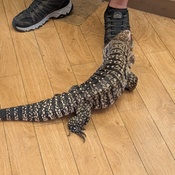 Photo submitted by Amanda