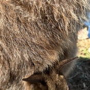 Photo submitted by annette