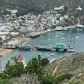 Photo submitted by Rui