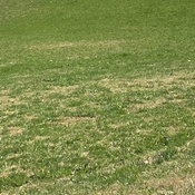 Photo submitted by Guest