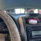 Photo submitted by Dolores