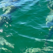 Photo submitted by Ryan