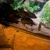 Photo submitted by Stephanie