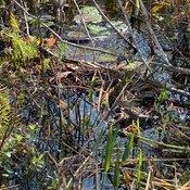 Photo submitted by Lori