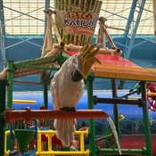 Photo submitted by Oanh