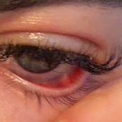 Photo submitted by Kate