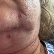 Photo submitted by Lena