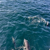 Photo submitted by Kayla