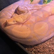 Photo submitted by Darleen