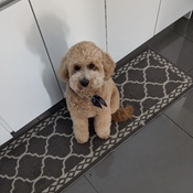 Photo submitted by arleen