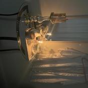 Photo submitted by Keila