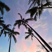 Photo submitted by Jooyeon